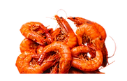 Shrimp